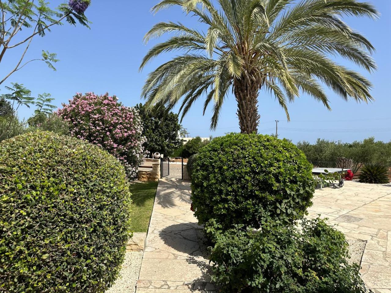 Margarita Villa *
